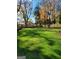 Large backyard with grassy area and mature trees at 213 W Hightower Trl, Social Circle, GA 30025