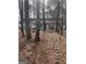 Ranch style home with dormer windows surrounded by mature trees and a wooded landscape at 1276 Turner Church Rd, Mcdonough, GA 30252