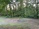 View of wooded backyard, showing tree coverage at 3746 Chapel Hill Road, Douglasville, GA 30135
