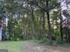 View of wooded backyard, showing tree coverage at 3746 Chapel Hill Road, Douglasville, GA 30135