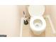 Bathroom showing the white toilet with a cleaning brush nearby at 3013 Pommel Ct, Conyers, GA 30013