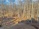 Forested land featuring tall trees and seasonal foliage offering a serene natural setting at 3939 Hamilton Mill Rd, Buford, GA 30519