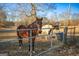 Two horses stand in a fenced pasture at 444 Agape Rd, Carrollton, GA 30116