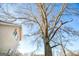 Large tree next to the house at 444 Agape Rd, Carrollton, GA 30116