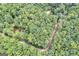 Aerial view of a wooded property with pond and road at 731 Airline Rd, Mcdonough, GA 30252