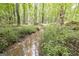 Small creek running through a wooded area at 731 Airline Rd, Mcdonough, GA 30252