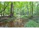 Small creek meandering through a wooded area at 731 Airline Rd, Mcdonough, GA 30252