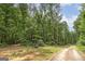 Wooded lot with a paved driveway at 731 Airline Rd, Mcdonough, GA 30252