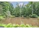 Tranquil pond view from across the grass at 731 Airline Rd, Mcdonough, GA 30252