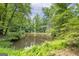 Calm pond nestled in the woods at 731 Airline Rd, Mcdonough, GA 30252