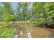 Serene pond surrounded by lush green trees at 731 Airline Rd, Mcdonough, GA 30252
