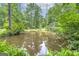 Serene pond surrounded by lush greenery at 731 Airline Rd, Mcdonough, GA 30252