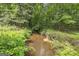 Serene stream flowing through woods at 731 Airline Rd, Mcdonough, GA 30252