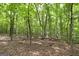 Dense forest with tall trees and a natural setting at 731 Airline Rd, Mcdonough, GA 30252