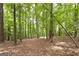 Wooded area with tall trees and a dirt path at 731 Airline Rd, Mcdonough, GA 30252