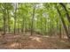 Wooded area with a gentle slope and lush vegetation at 731 Airline Rd, Mcdonough, GA 30252