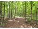 Lush, wooded area with a path perfect for nature walks at 731 Airline Rd, Mcdonough, GA 30252