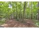 Wooded area with lush green trees and undergrowth at 731 Airline Rd, Mcdonough, GA 30252
