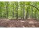 Open wooded area with tall trees and leaf-covered ground at 731 Airline Rd, Mcdonough, GA 30252