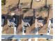 Bird's eye view of a home with a white outline, showcasing the lot size, surrounding homes, and street at 301 Dunstans Pass, Marietta, GA 30066