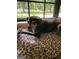 Dog relaxing by window overlooking backyard at 161 Revolutionary Dr, Hampton, GA 30228