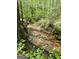 Peaceful creek running through the property's wooded area at 1561 Aiken Chafin Ln, Mcdonough, GA 30252