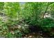 Small creek running through lush forest at 3170 Double Bridges Rd, Rutledge, GA 30663