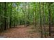 Wooded area with a dirt path at 3170 Double Bridges Rd, Rutledge, GA 30663