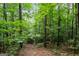 Wooded path ideal for hiking and nature walks at 3170 Double Bridges Rd, Rutledge, GA 30663