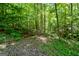 Dense forest with lush green foliage at 3170 Double Bridges Rd, Rutledge, GA 30663