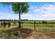 Horses grazing in a fenced pasture at 3170 Double Bridges Rd, Rutledge, GA 30663