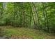 Image shows a dense, lush forest with tall trees at 3170 Double Bridges Rd, Rutledge, GA 30663