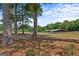 Picturesque wooded area with tall trees, pine straw ground cover, and horse stables in the background at 3170 Double Bridges Rd, Rutledge, GA 30663