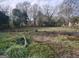 Overgrown lot with mature trees and undergrowth at 41 W Main St, Hampton, GA 30228