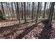 Private, wooded lot creating a secluded and peaceful atmosphere at 125 Oak Leaf Dr, Stockbridge, GA 30281