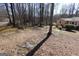 Expansive yard with towering trees, bordering a light-colored ranch-style home in the background at 125 Oak Leaf Dr, Stockbridge, GA 30281