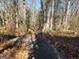 Wooded vacant lot with a paved pathway at 8587 Cumming Hwy, Canton, GA 30115