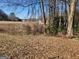 Wooded vacant lot with leaf covered ground at 8587 Cumming Hwy, Canton, GA 30115