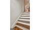 Basement staircase with dark wood and white risers at 55 Rainey Ridge Dr, Oxford, GA 30054