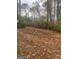 Wooded backyard with a ground covered in fallen leaves at 1178 King Rd, Riverdale, GA 30296