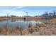 Serene pond view with a private dock and open field at 1689 Nebo Rd, Dallas, GA 30157