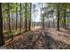 Peaceful wooded path leading to a scenic pond at 8445 Nolandwood Ln, Villa Rica, GA 30180