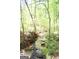 Scenic creek flowing through the wooded property, adding a touch of nature to the backyard at 1760 Upland Ridge Nw Dr, Conyers, GA 30012