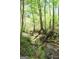 Scenic view of a tranquil creek surrounded by lush greenery, creating a peaceful backyard oasis at 1760 Upland Ridge Nw Dr, Conyers, GA 30012