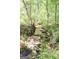 Beautiful creek flowing through a lush green wooded area, enhancing the property's natural charm at 1760 Upland Ridge Nw Dr, Conyers, GA 30012