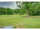 Expansive grassy yard with a large tree and wooded backdrop at 1198 E Atlanta Rd, Stockbridge, GA 30281