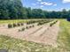 Landscaped garden with various plants and trellises at 506 W Mcintosh Rd, Brooks, GA 30205