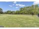 Expansive lawn area with mature trees and fence at 506 W Mcintosh Rd, Brooks, GA 30205