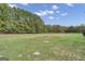Large grassy backyard with trees and privacy fence at 506 W Mcintosh Rd, Brooks, GA 30205