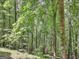 Lush, wooded backyard offers privacy and a serene natural setting at 337 Legacy Ln, Peachtree City, GA 30269